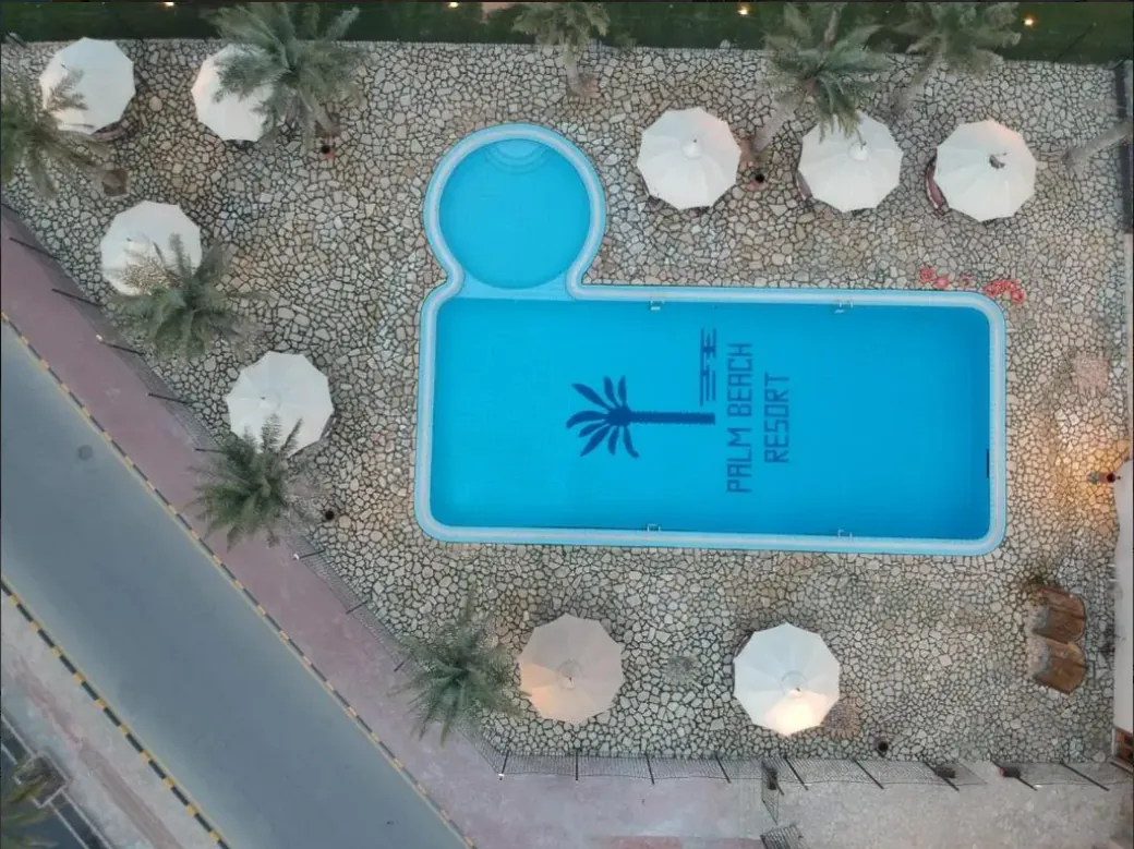المسبح والجلسات والمظلّات في منتجع شاطئ النخيل
